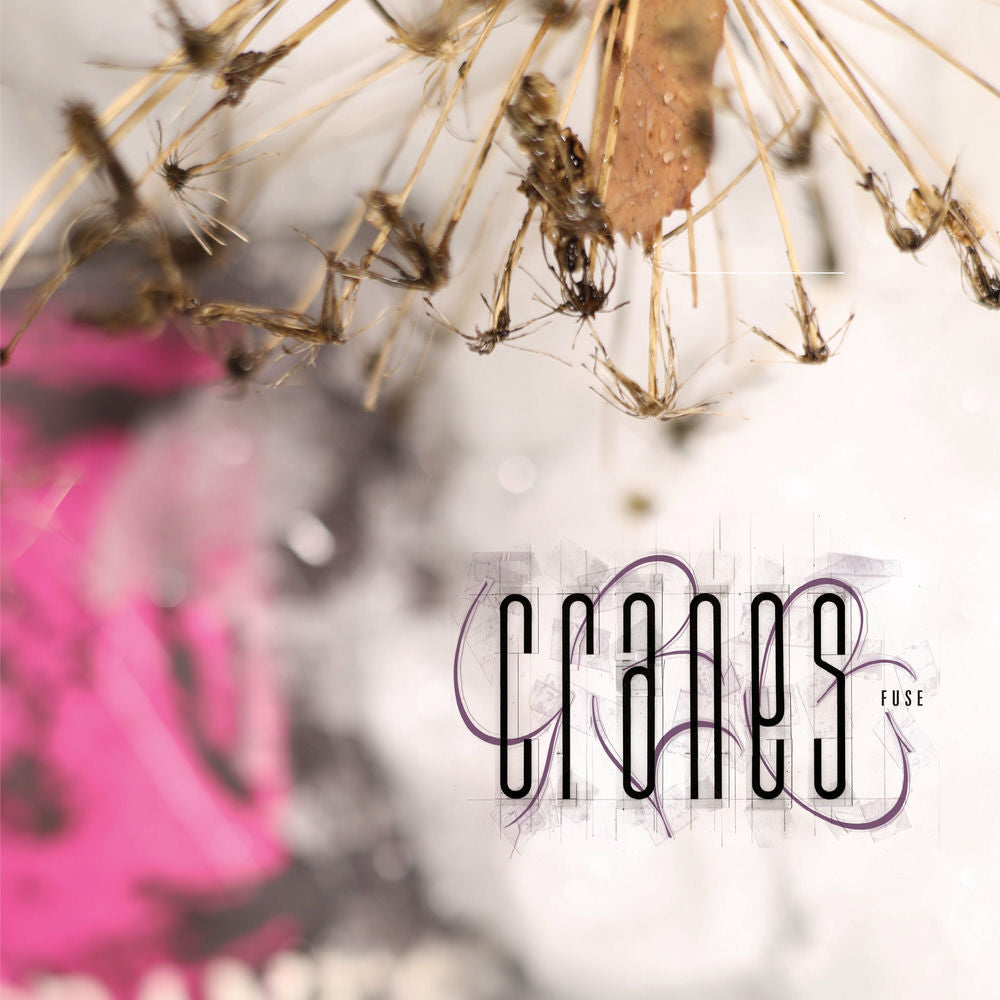Cranes – Fuse vinyl record cover