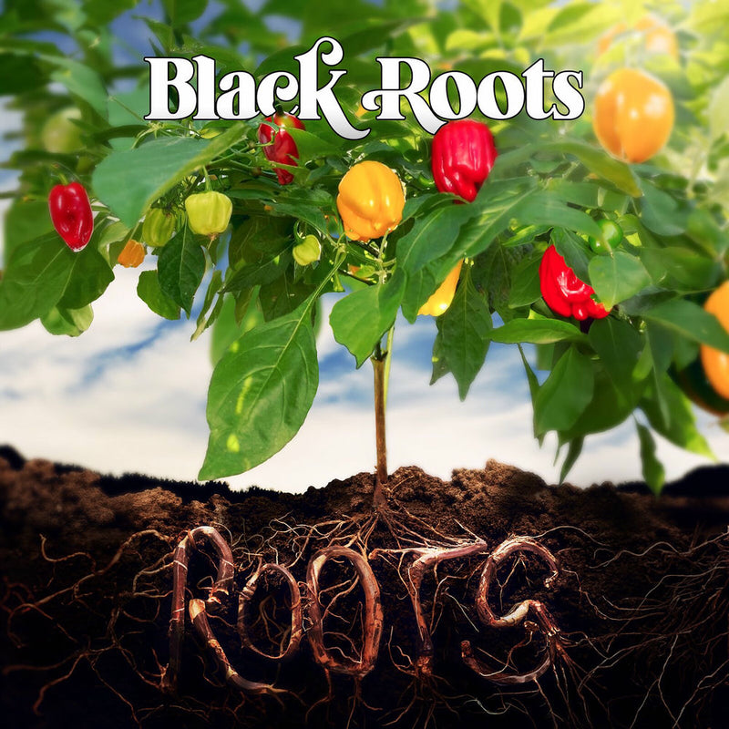 Black Roots – Roots (Rsd 2025) vinyl record cover