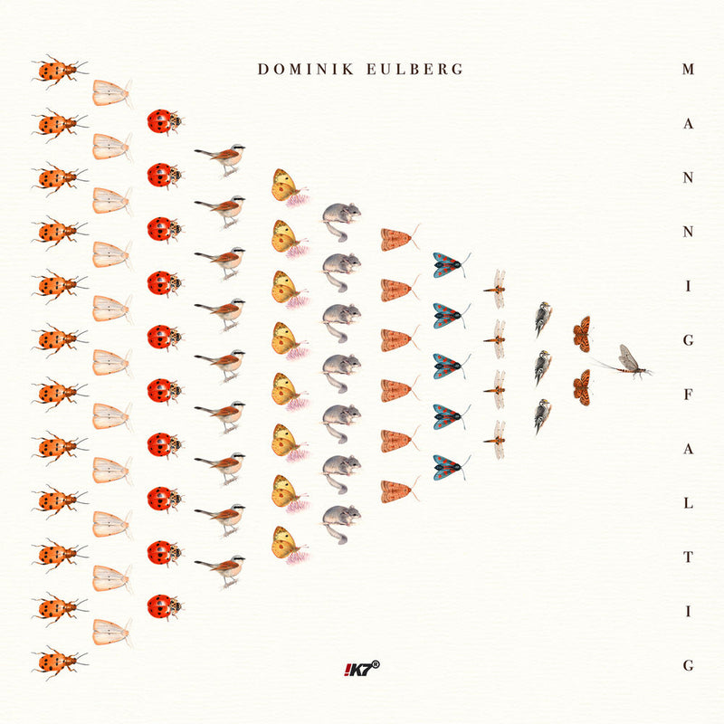 Dominik Eulberg – Mannigfaltig vinyl record cover