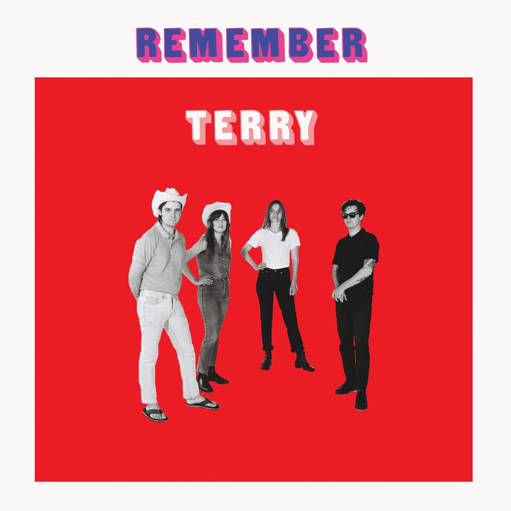 Terry – Remember Terry vinyl record cover