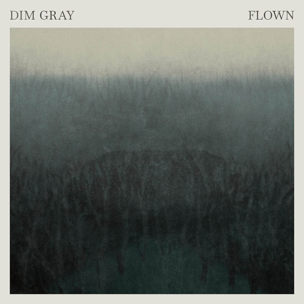 Dim Gray – Flown vinyl record cover