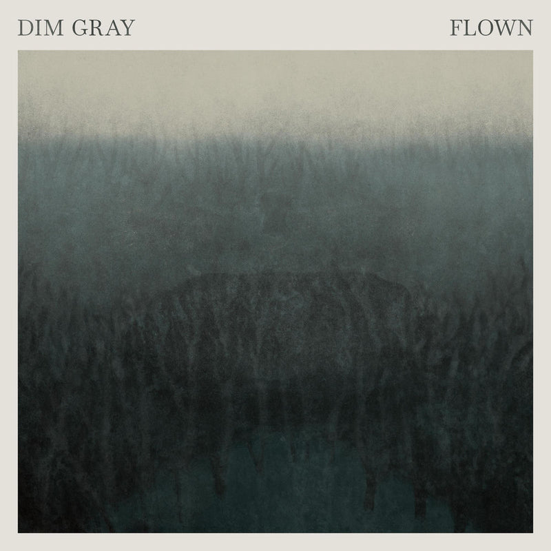 Dim Gray – Flown vinyl record cover