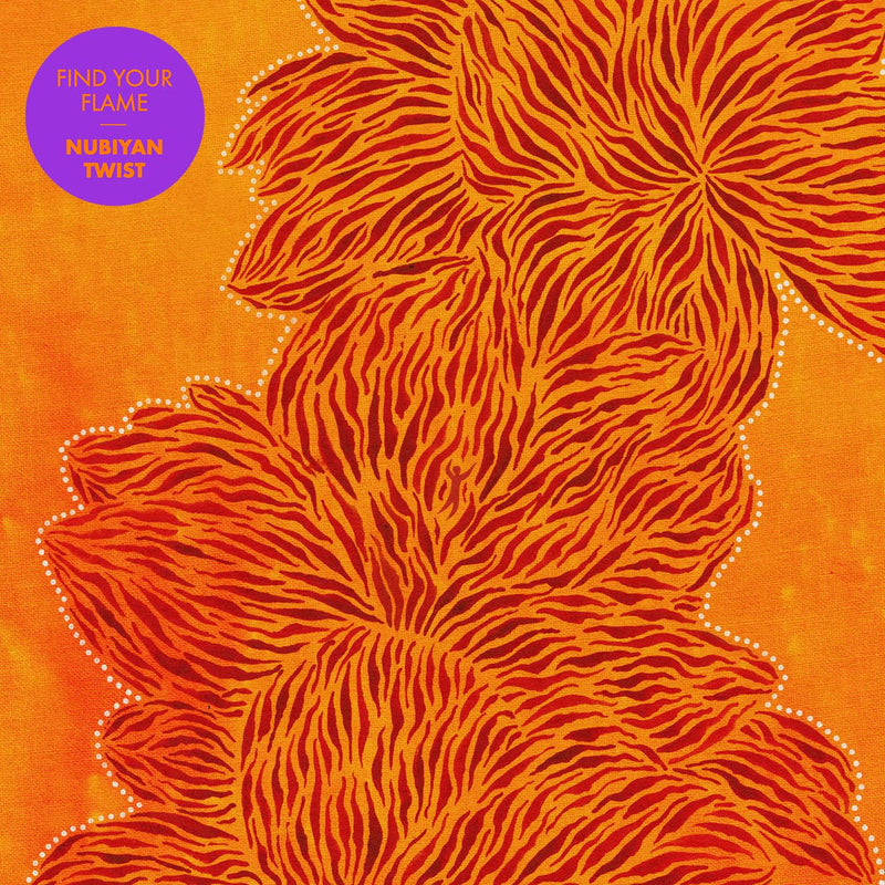 Nubiyan Twist – Find Your Flame vinyl record cover