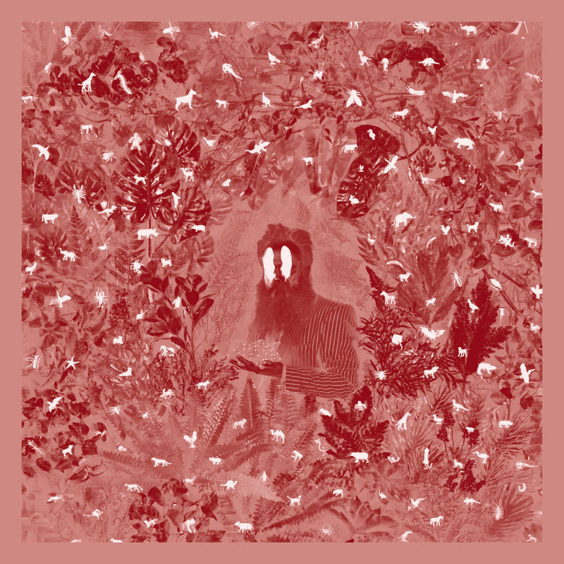 Iron & Wine – Hen's Teeth vinyl record cover