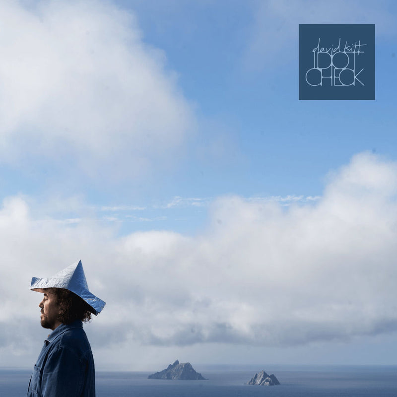 David Kitt – Idiot Check vinyl record cover