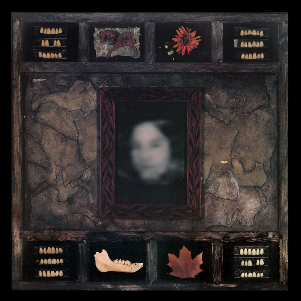 Dazzling Killmen – Face of Collapse vinyl record cover