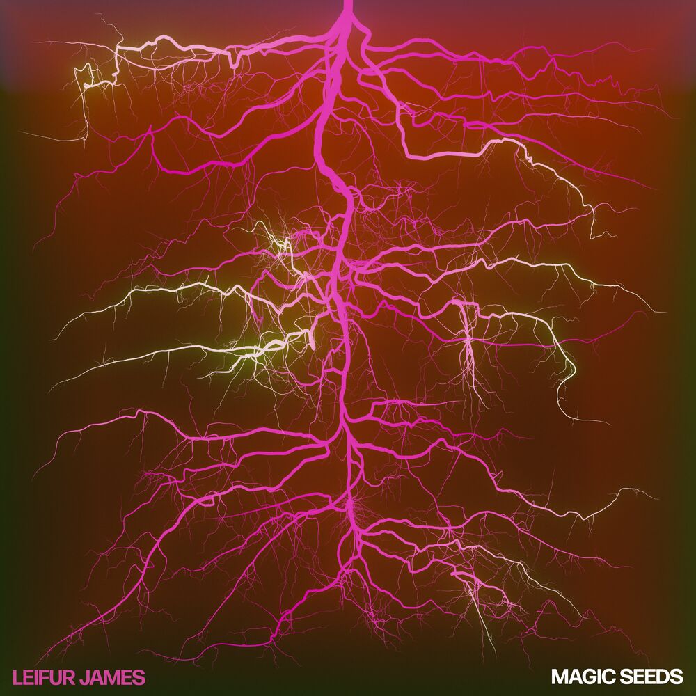 Leifur James – Magic Seeds vinyl record cover