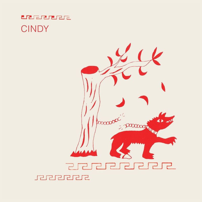 Cindy – Why Not Now vinyl record cover