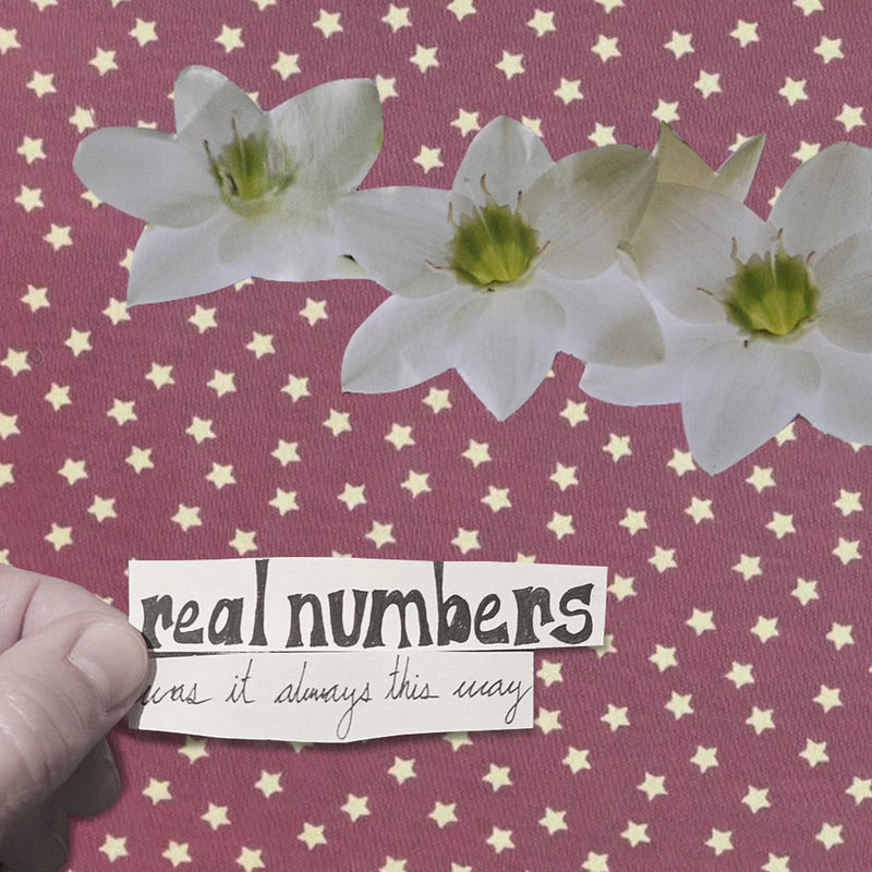Real Numbers – Was It Always This Way vinyl record cover