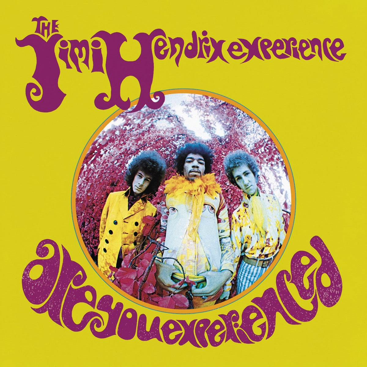 The Jimi Hendrix Experience – Are You Experienced (LP) — album cover