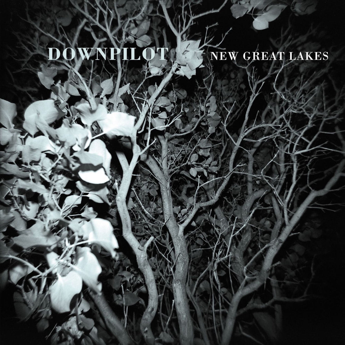 Downpilot – New Great Lakes vinyl record cover