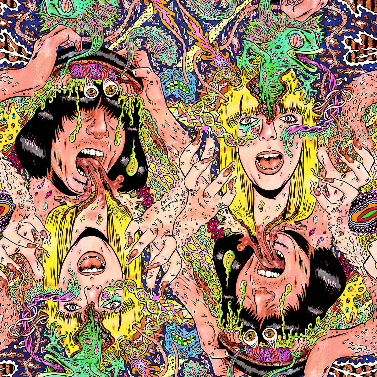 The Lovely Eggs – Drug Braggin' vinyl cover