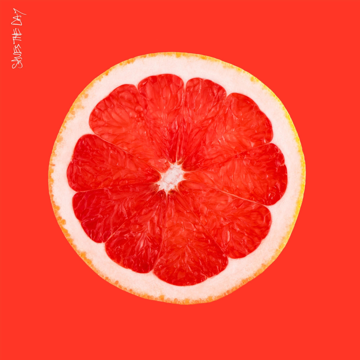 Saves the Day – Saves the Day vinyl record cover