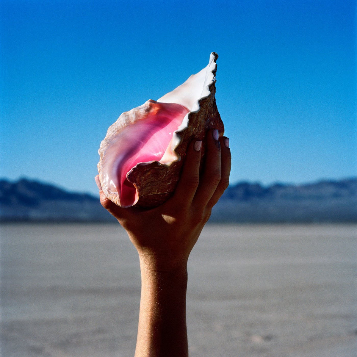 The Killers – Wonderful Wonderful vinyl cover