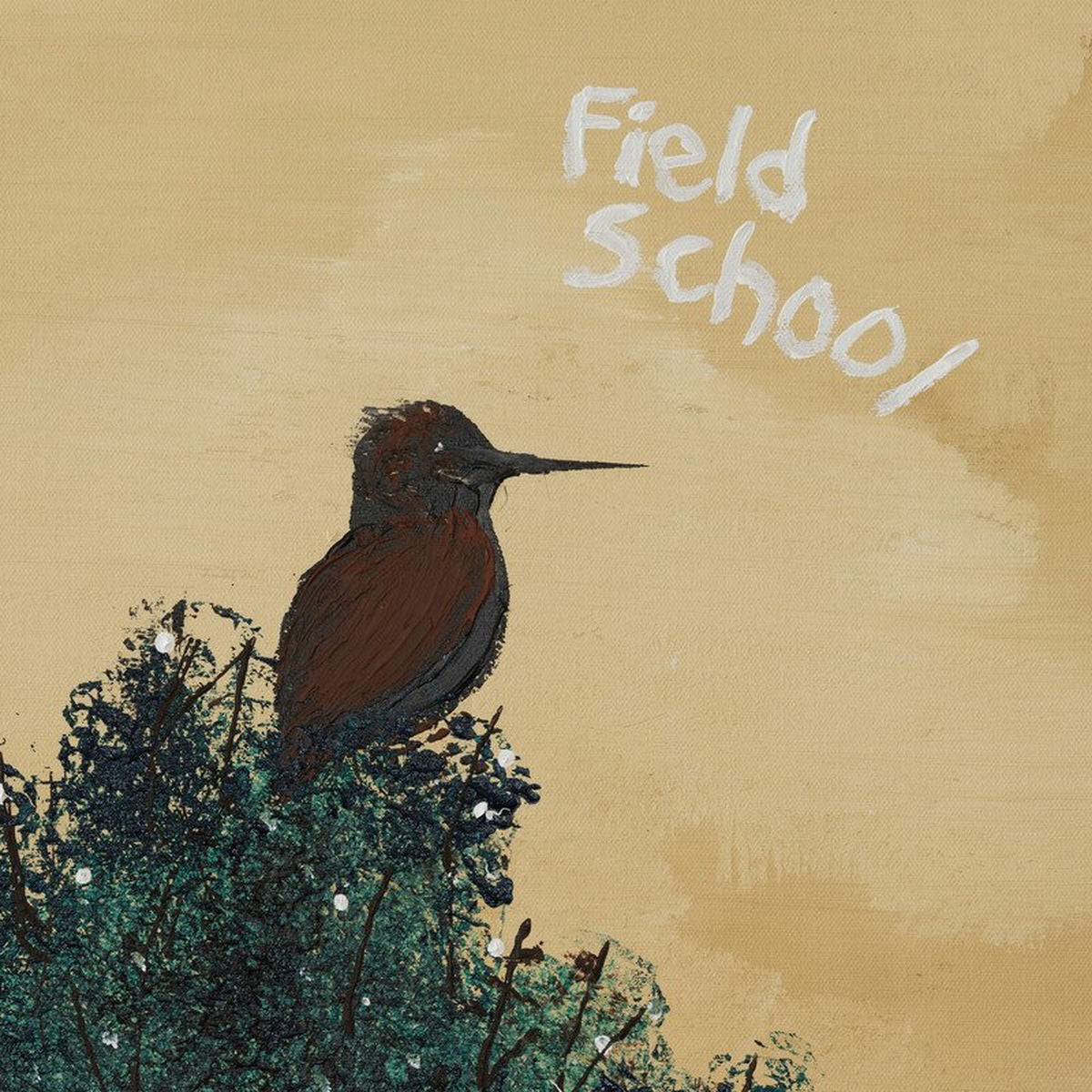 Field School – When Summer Comes vinyl record cover