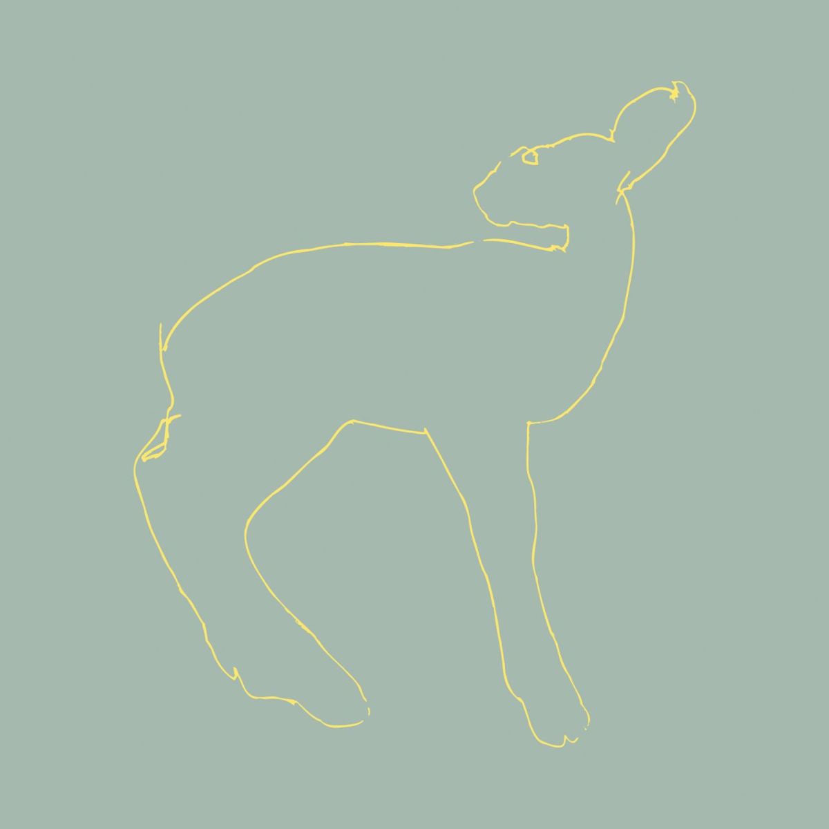 Songs: Ohia – Hecla & Griper [15th Anniversary Edition] vinyl cover