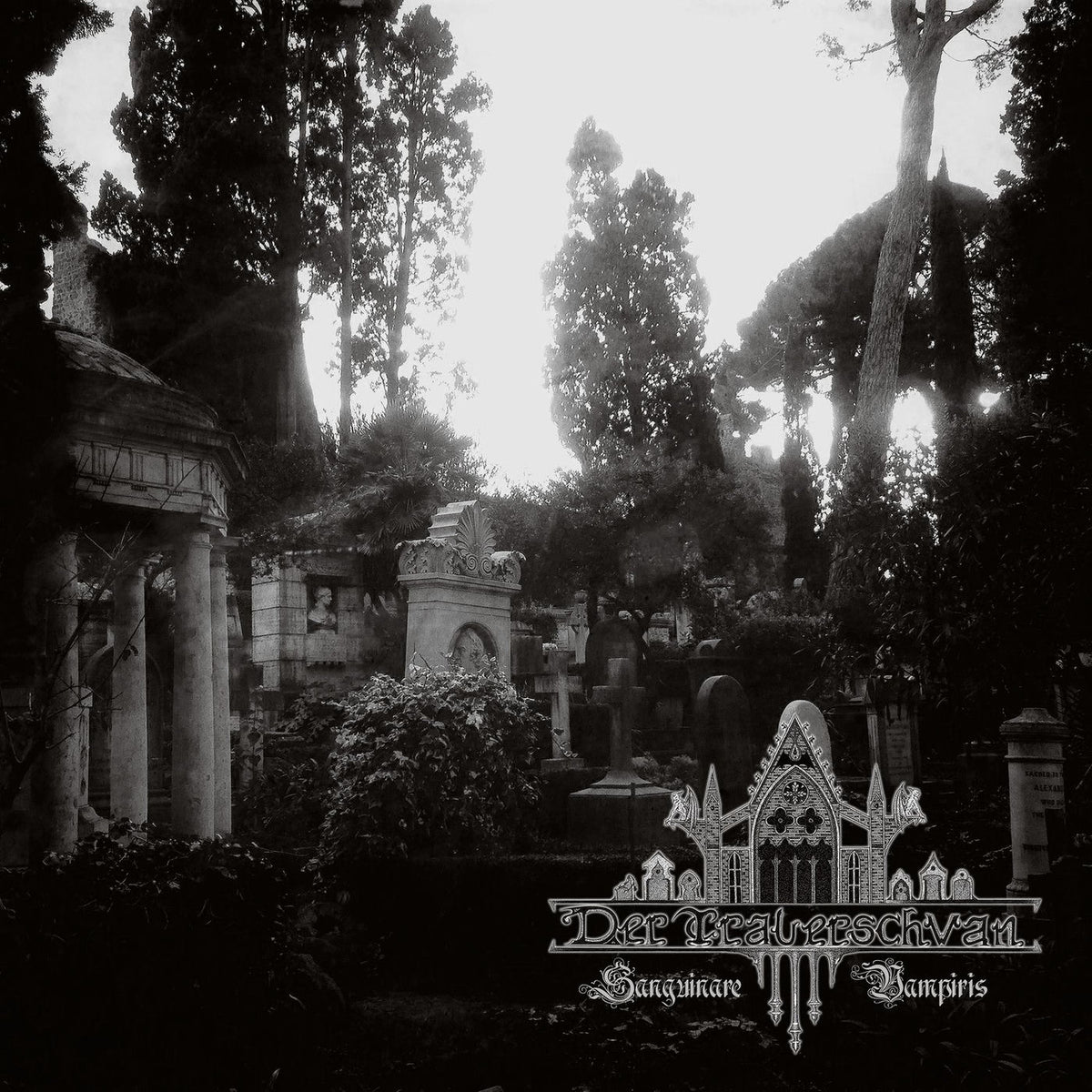 Der Trauerschwan – Sanguinare Vampiris [LP] (GREY VINYL, DOUBLE SIDED INSERT, LIMITED) vinyl record cover
