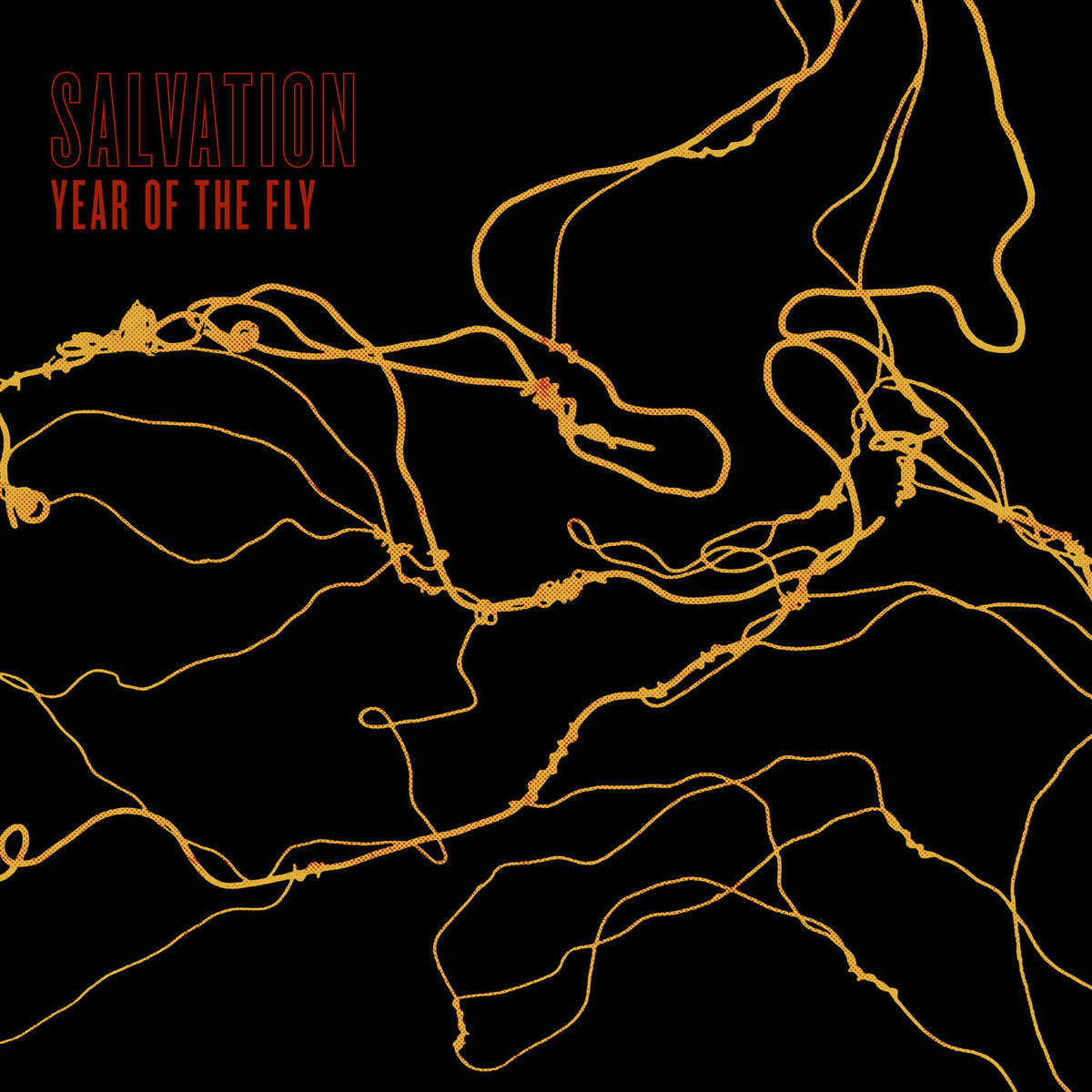Salvation – Year Of The Fly vinyl record cover