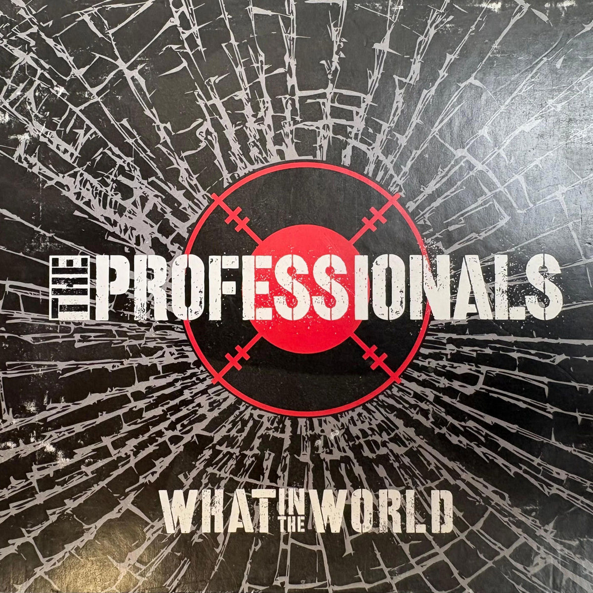 The Professionals – What in the world vinyl cover