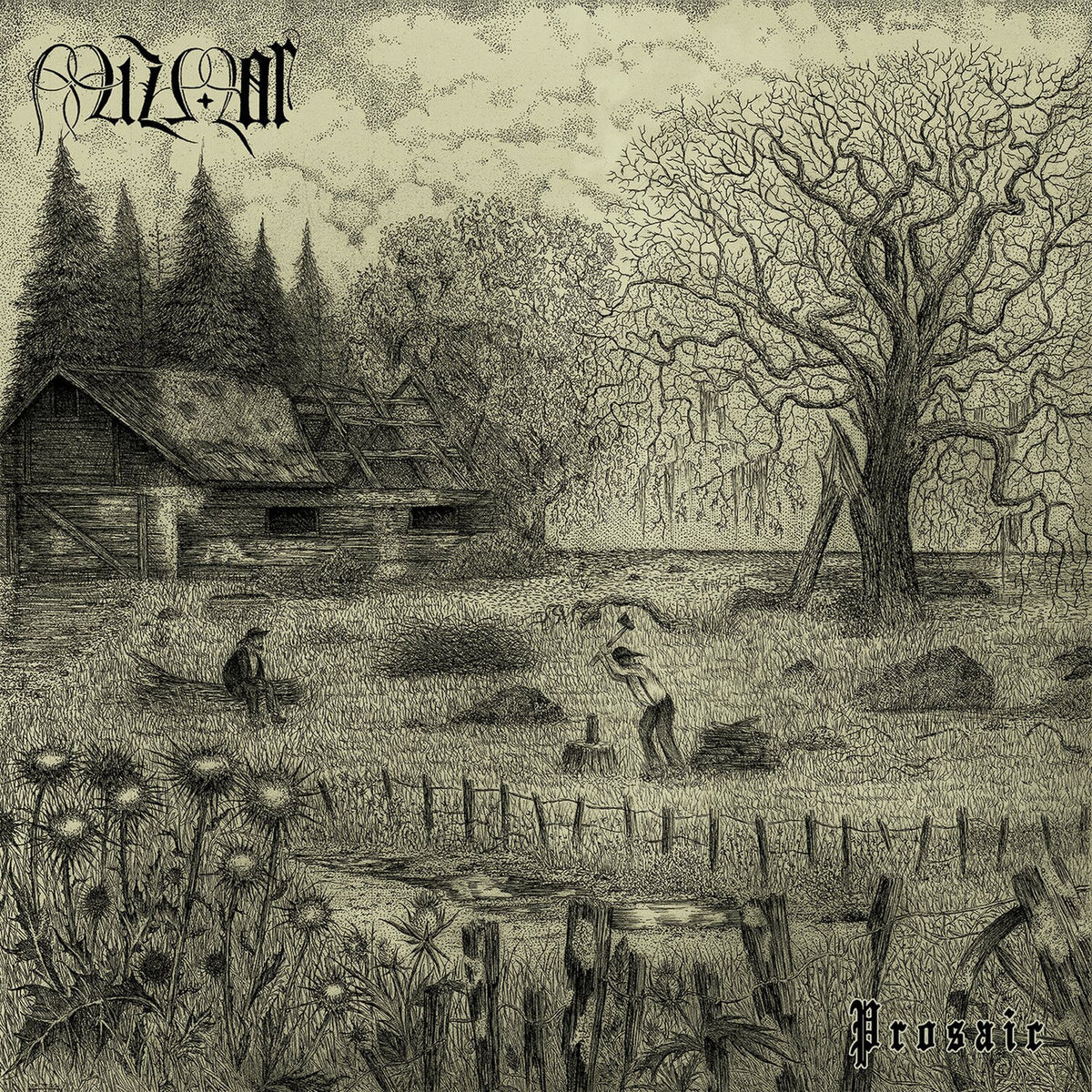 Mizmor – Prosaic vinyl record cover