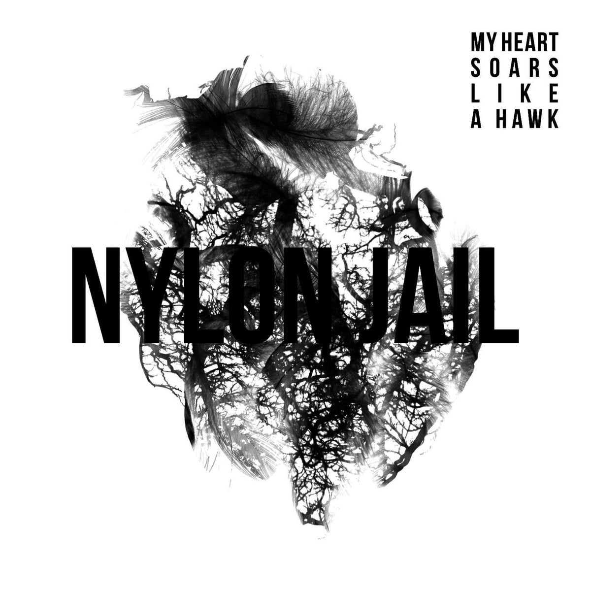 Nylon Jail – My Heart Soars Like A Hawk [LP] vinyl record cover