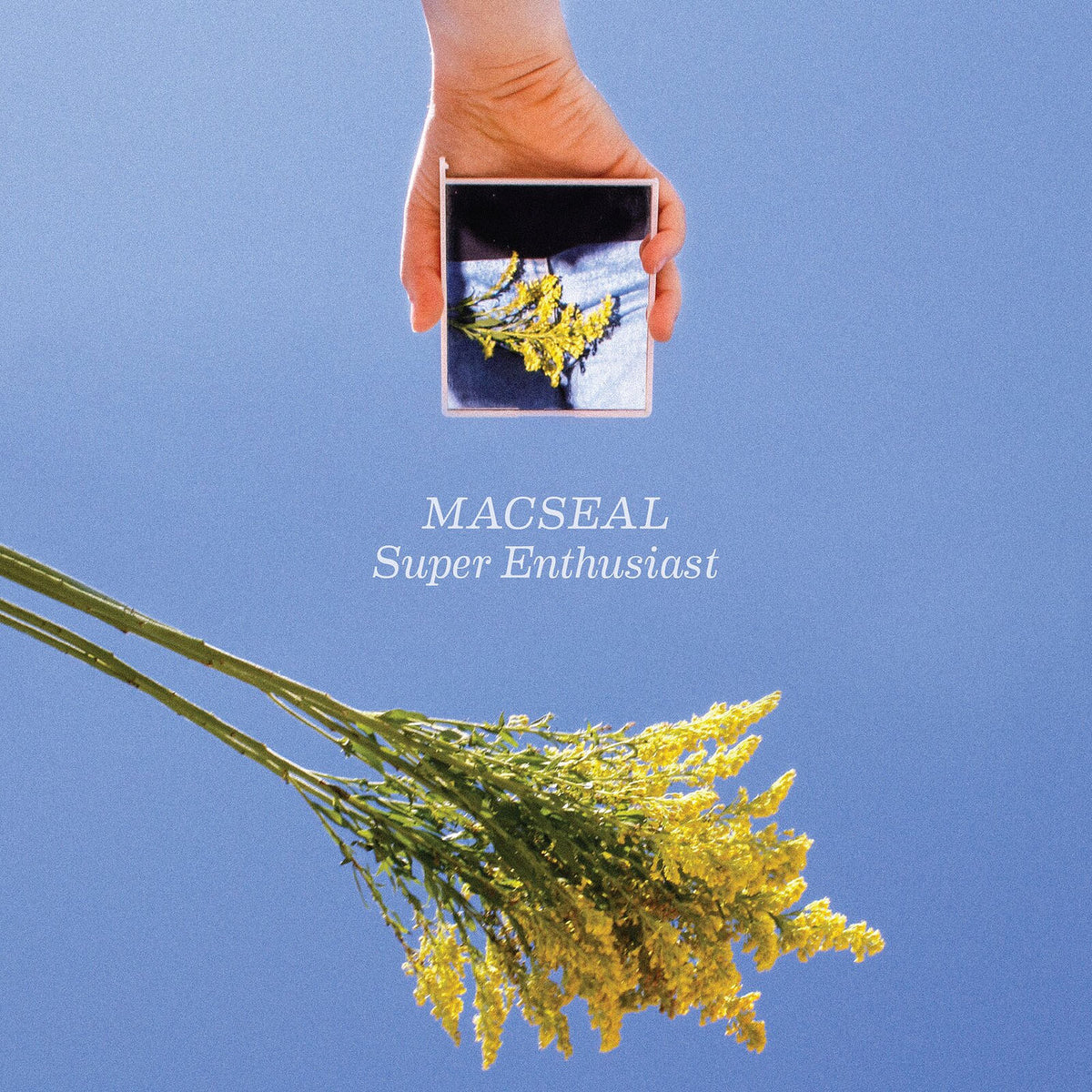 Macseal – Super Enthusiast vinyl record cover