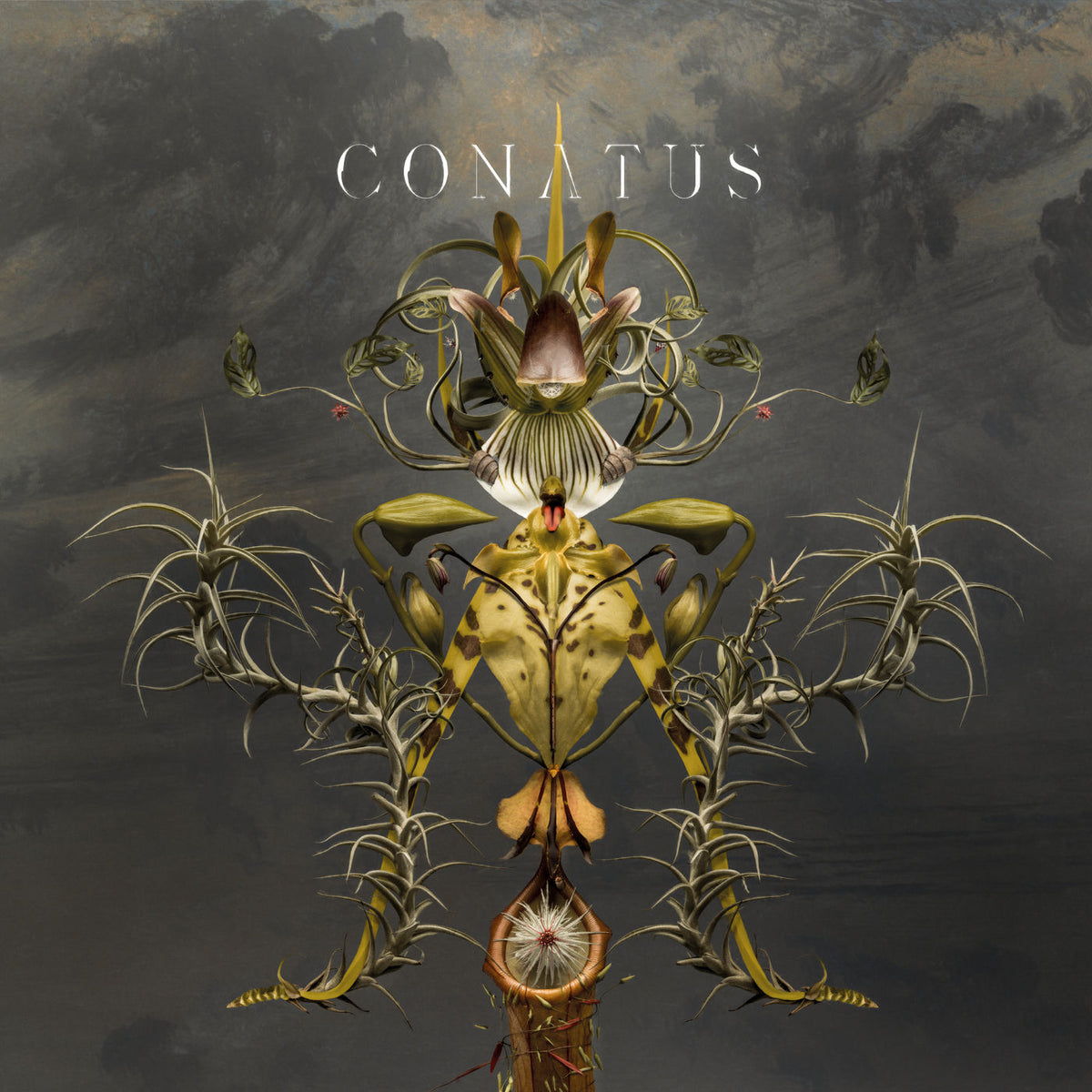 Joep Beving – Conatus — record image 1