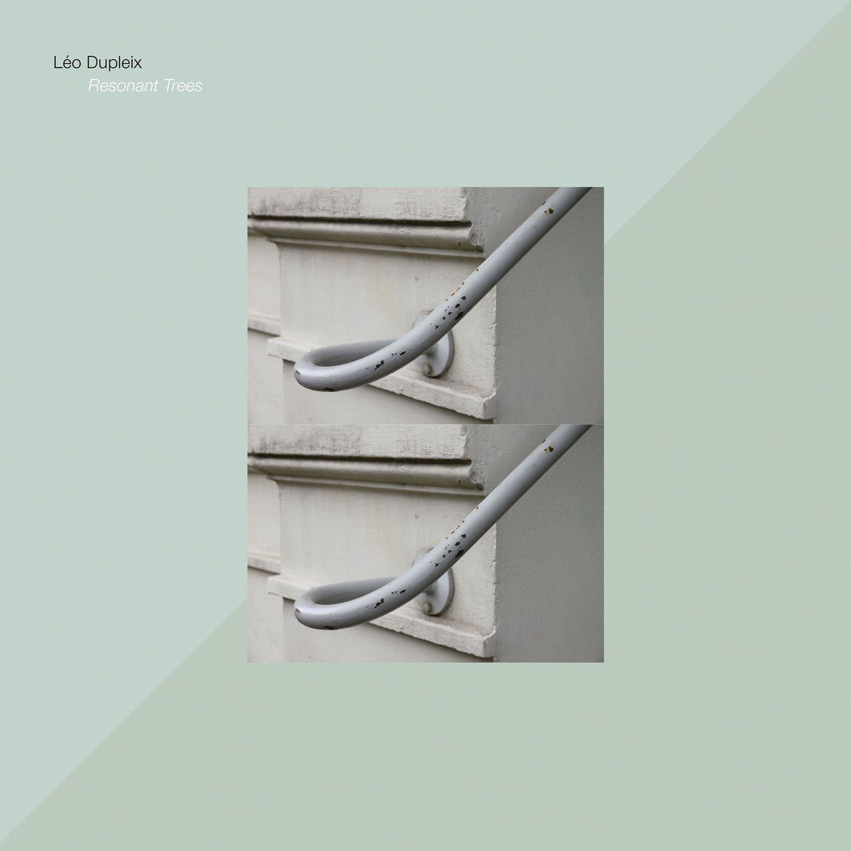 Léo Dupleix – Resonant Trees vinyl record cover