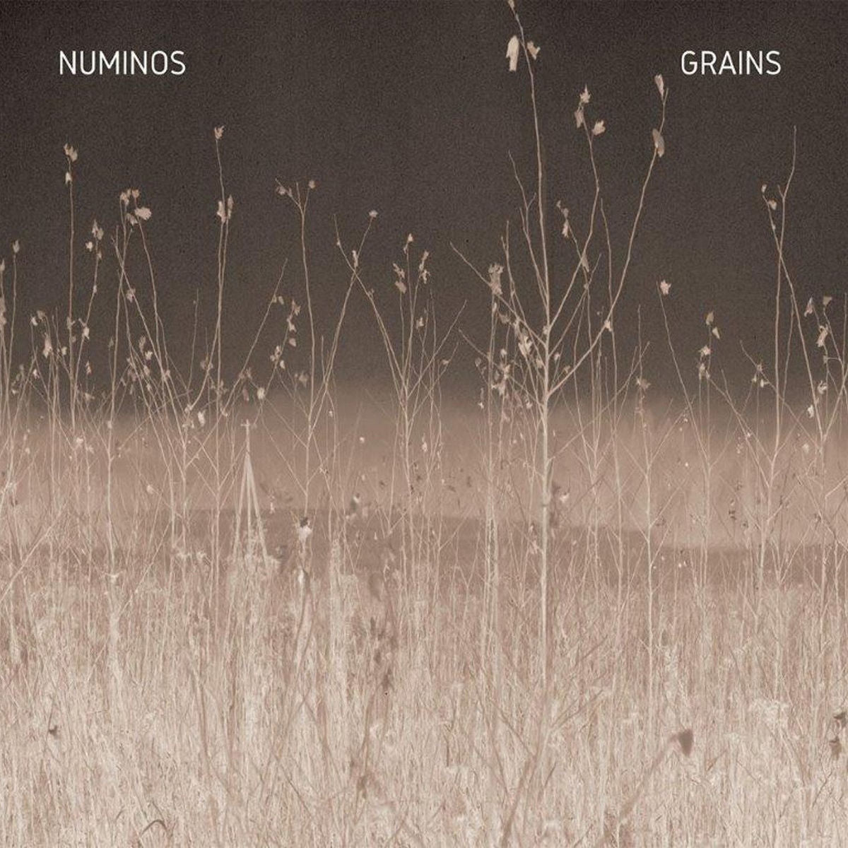 Numinos – Grains vinyl record cover