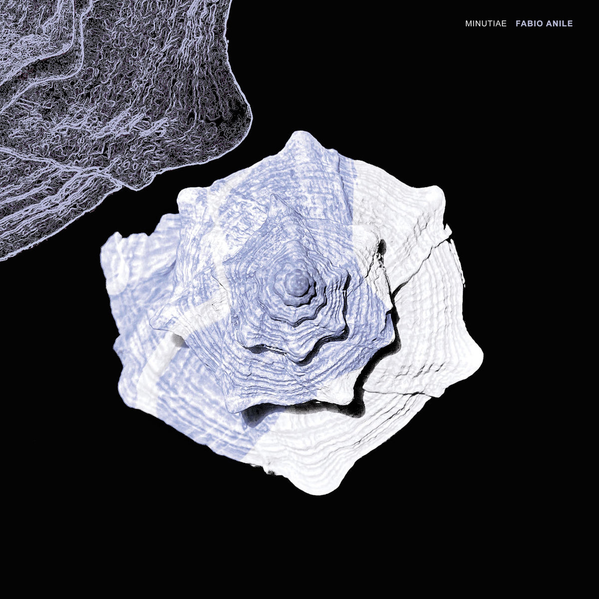 Fabio Anile – Minutiae (Black/White Marble Vinyl) (Coloured Vinyl) vinyl record cover
