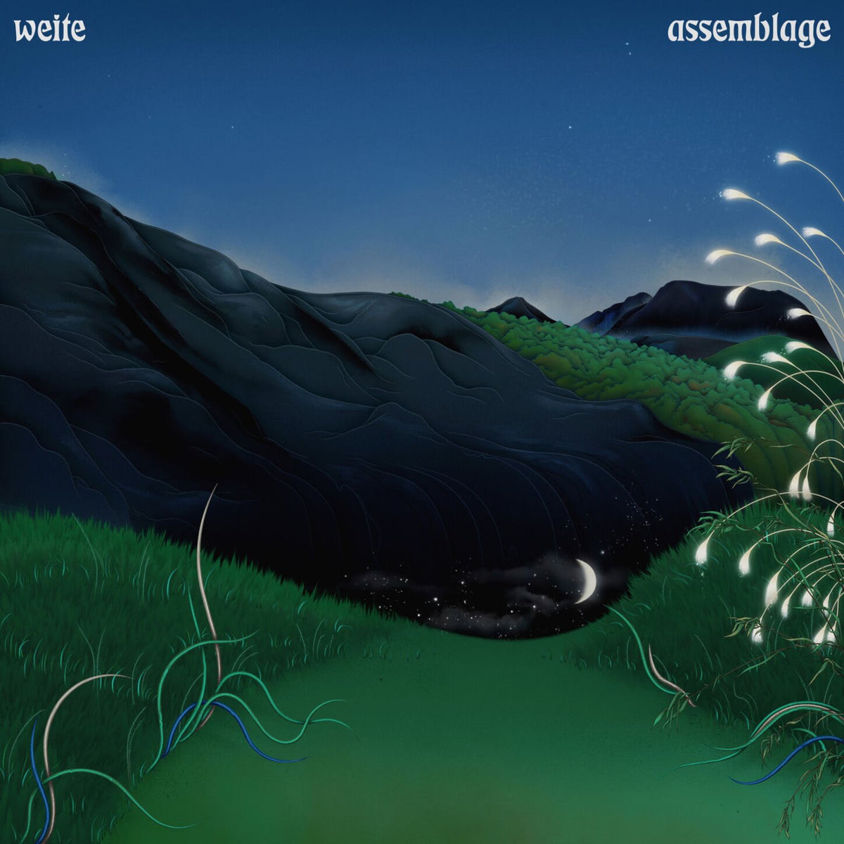 Weite – Assemblage vinyl record cover