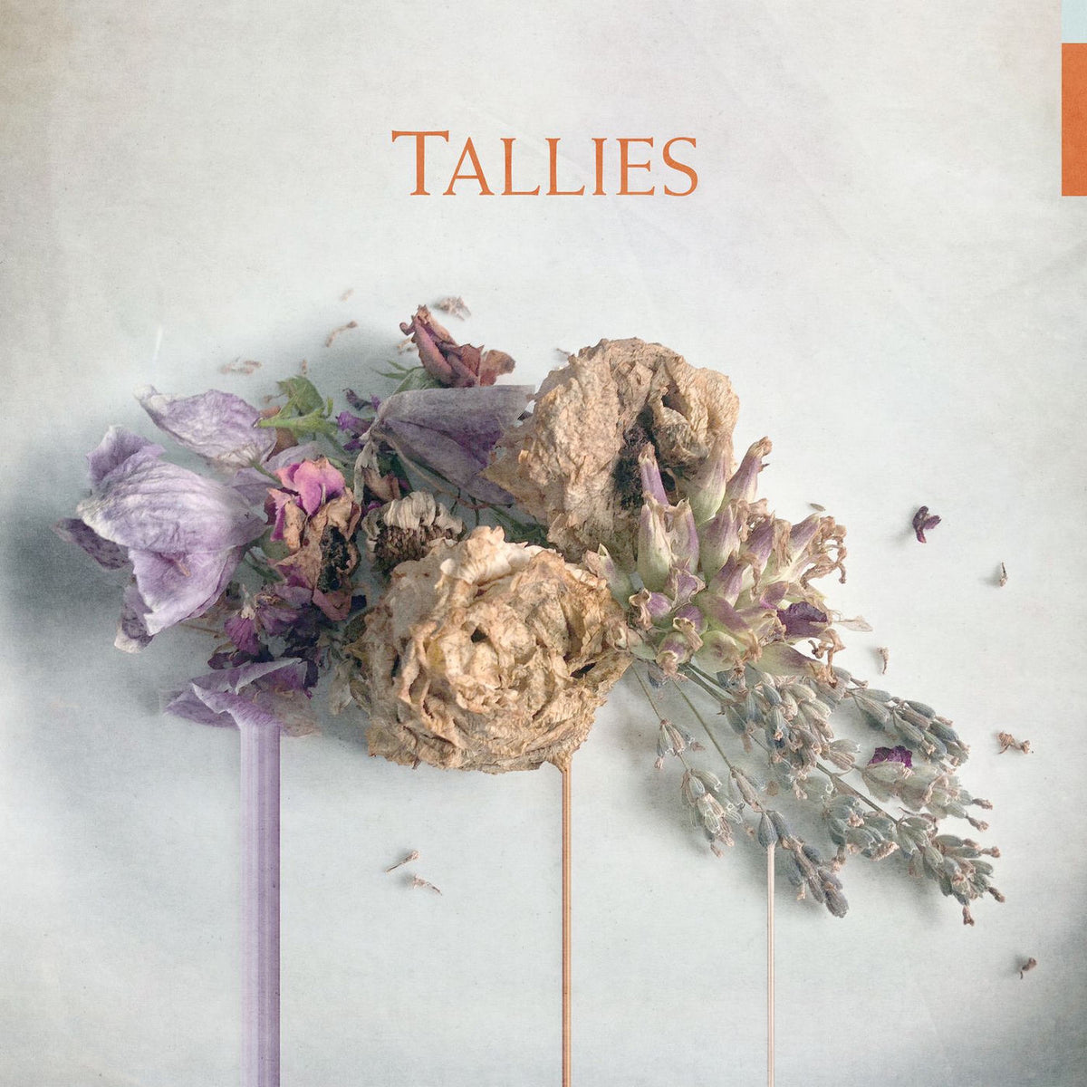 Tallies – Tallies vinyl record cover