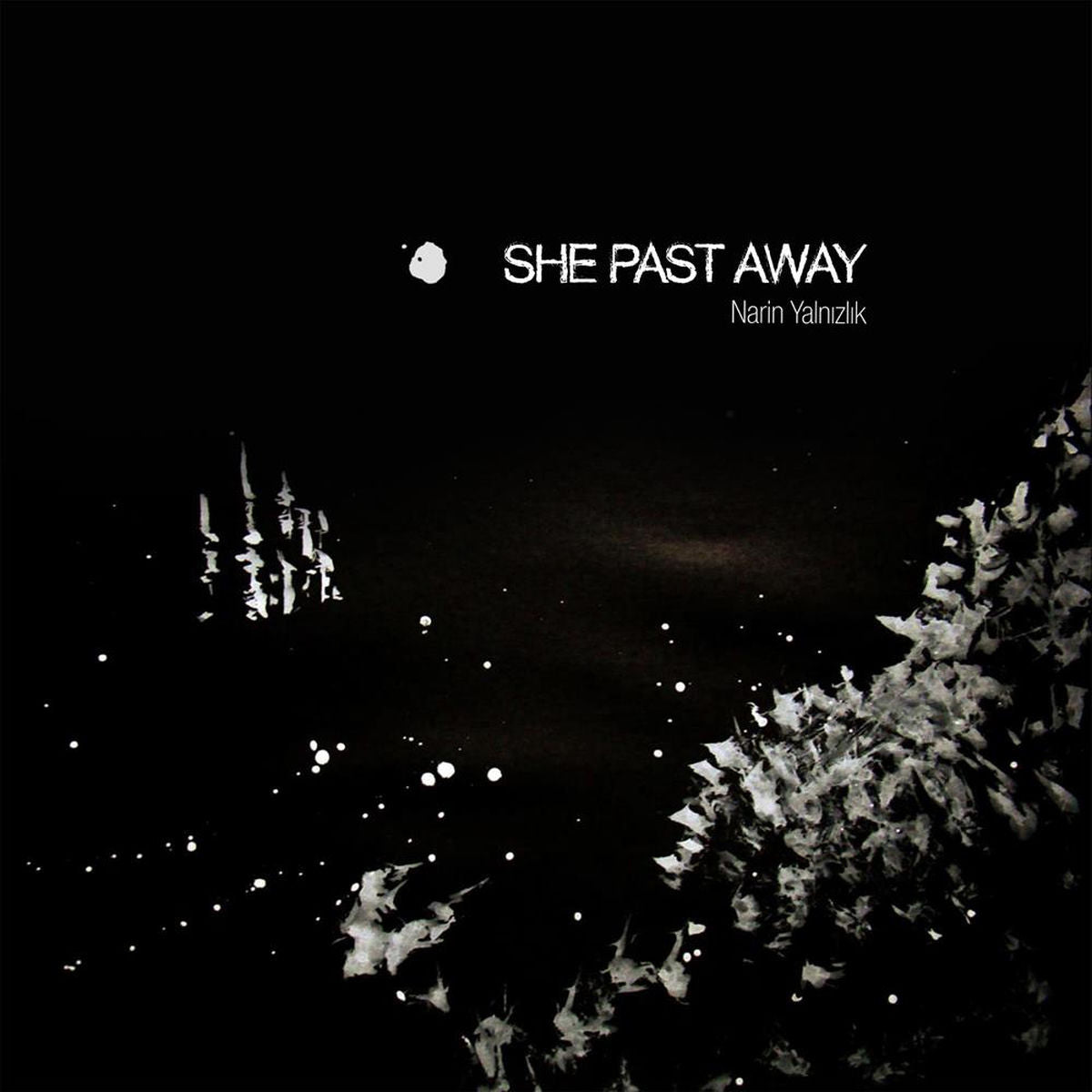 She Past Away – Narin Yalnızlık vinyl cover