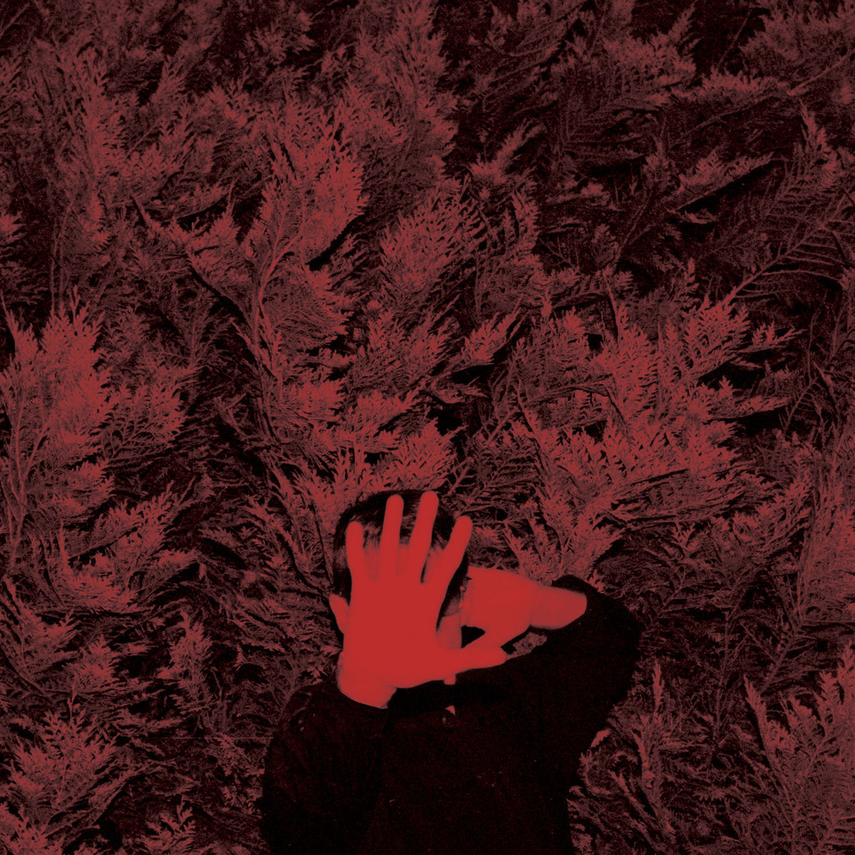 Cory Hanson – The Unborn Capitalist From Limbo vinyl cover