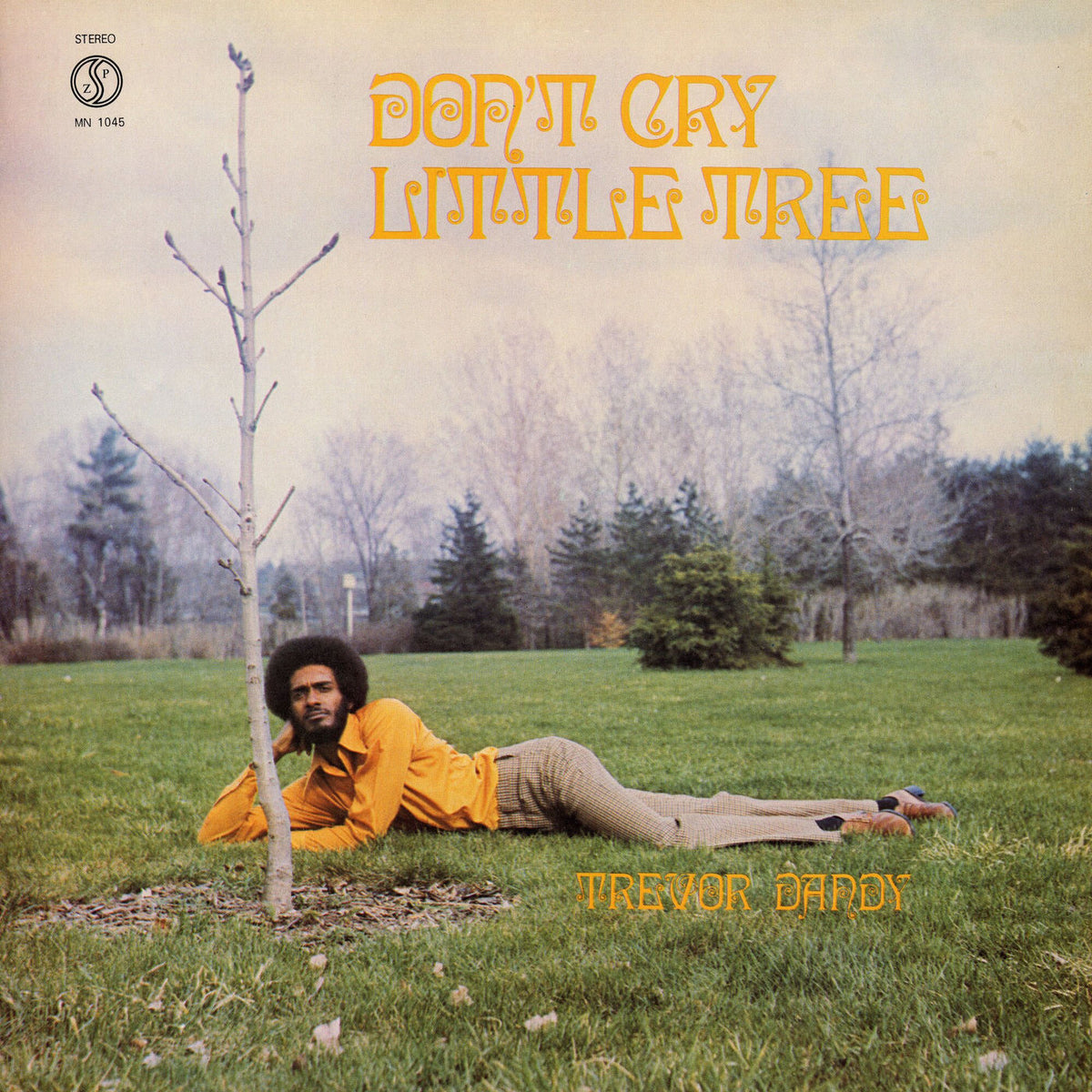 Trevor Dandy – Don't Cry Little Tree vinyl cover
