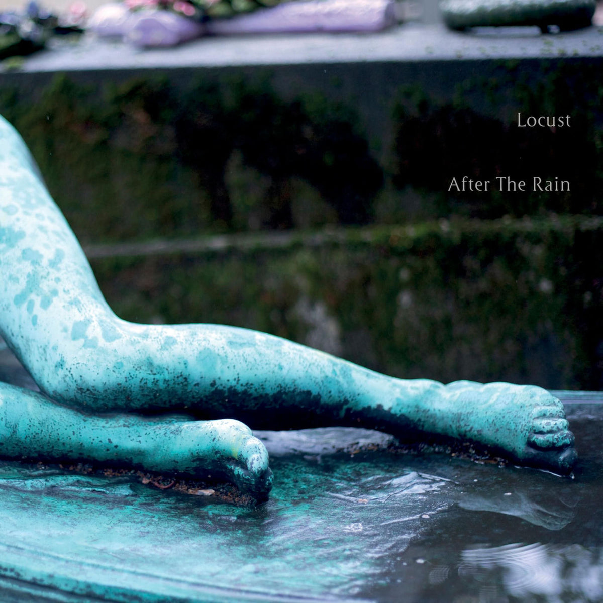 Locust – After The Rain vinyl record cover