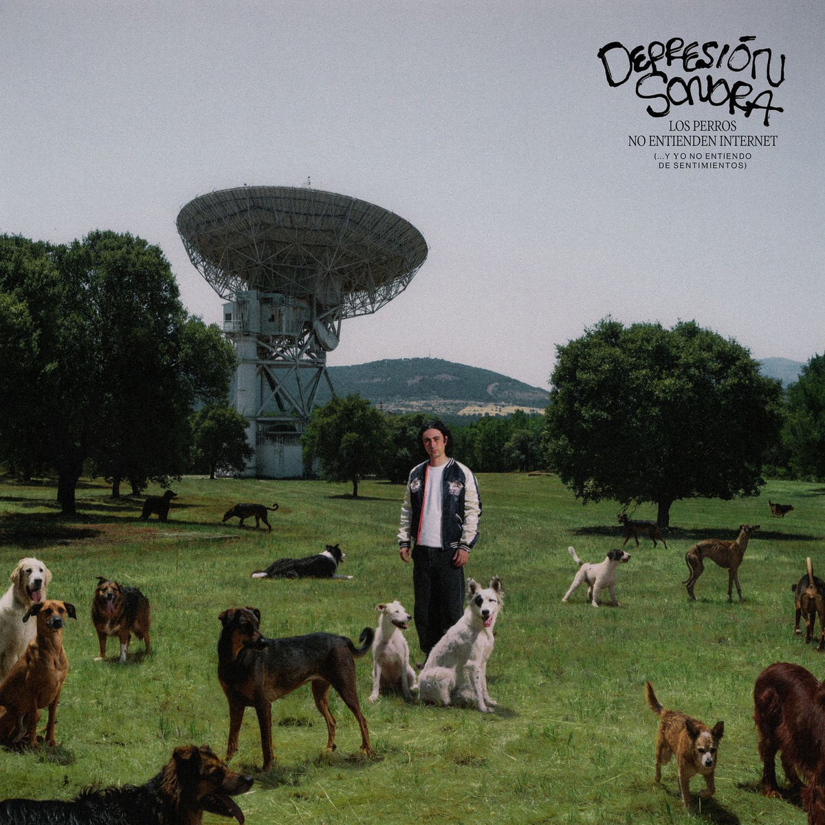 Depresion Sonora – Los Perros No Entiende... vinyl record cover