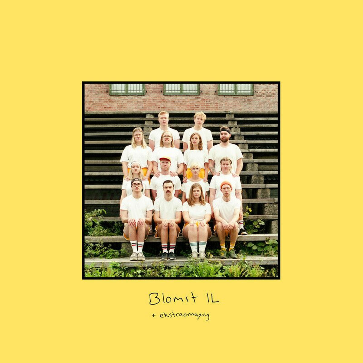 Blomst – Blomst IL + Ekstraomgang vinyl record cover