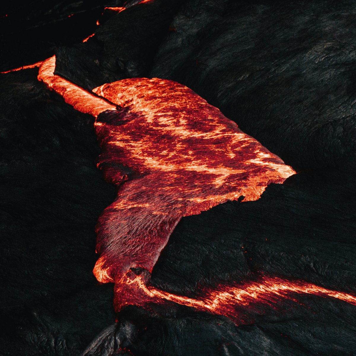 Randstad – These Serpents vinyl cover