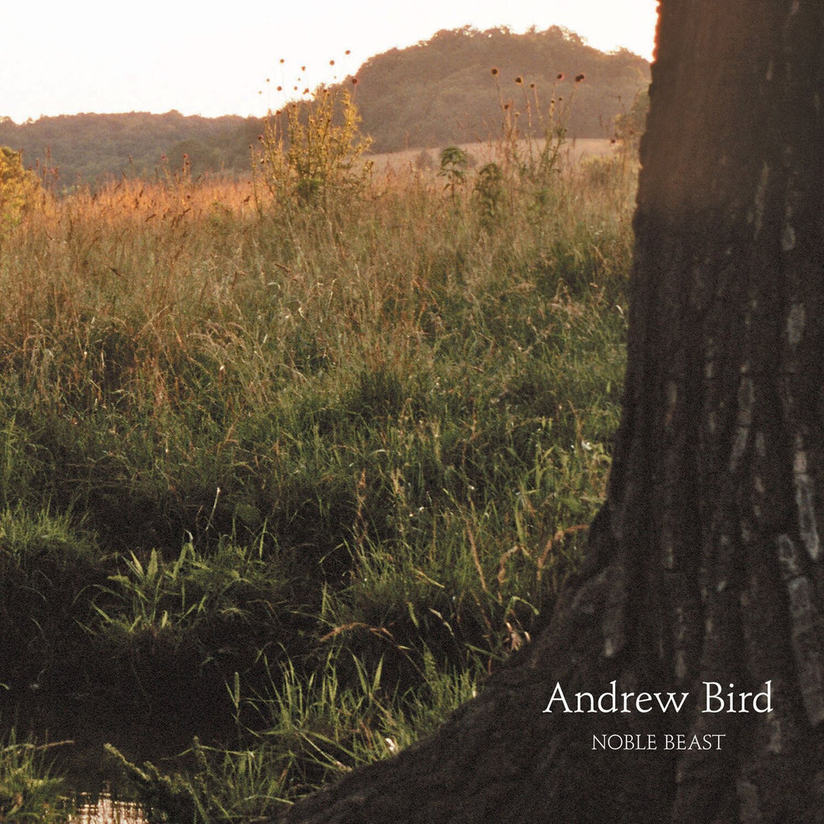 Andrew Bird – Noble Beast vinyl record cover