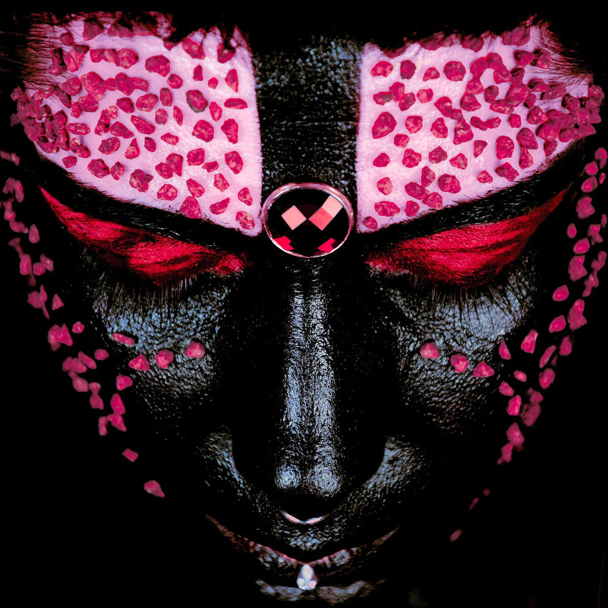 Dalila Kayros – Animami vinyl record cover