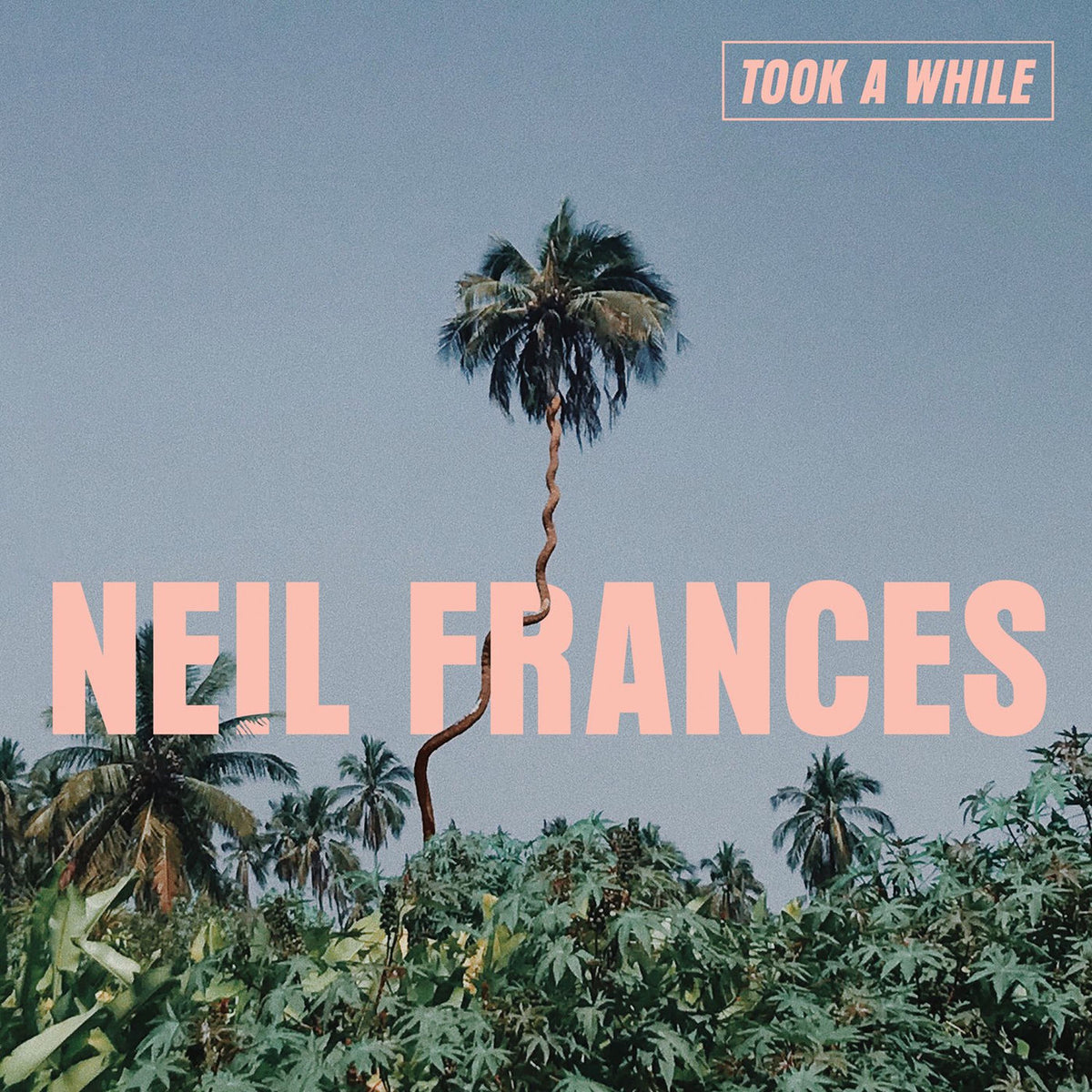 NEIL FRANCES – Took a While vinyl cover