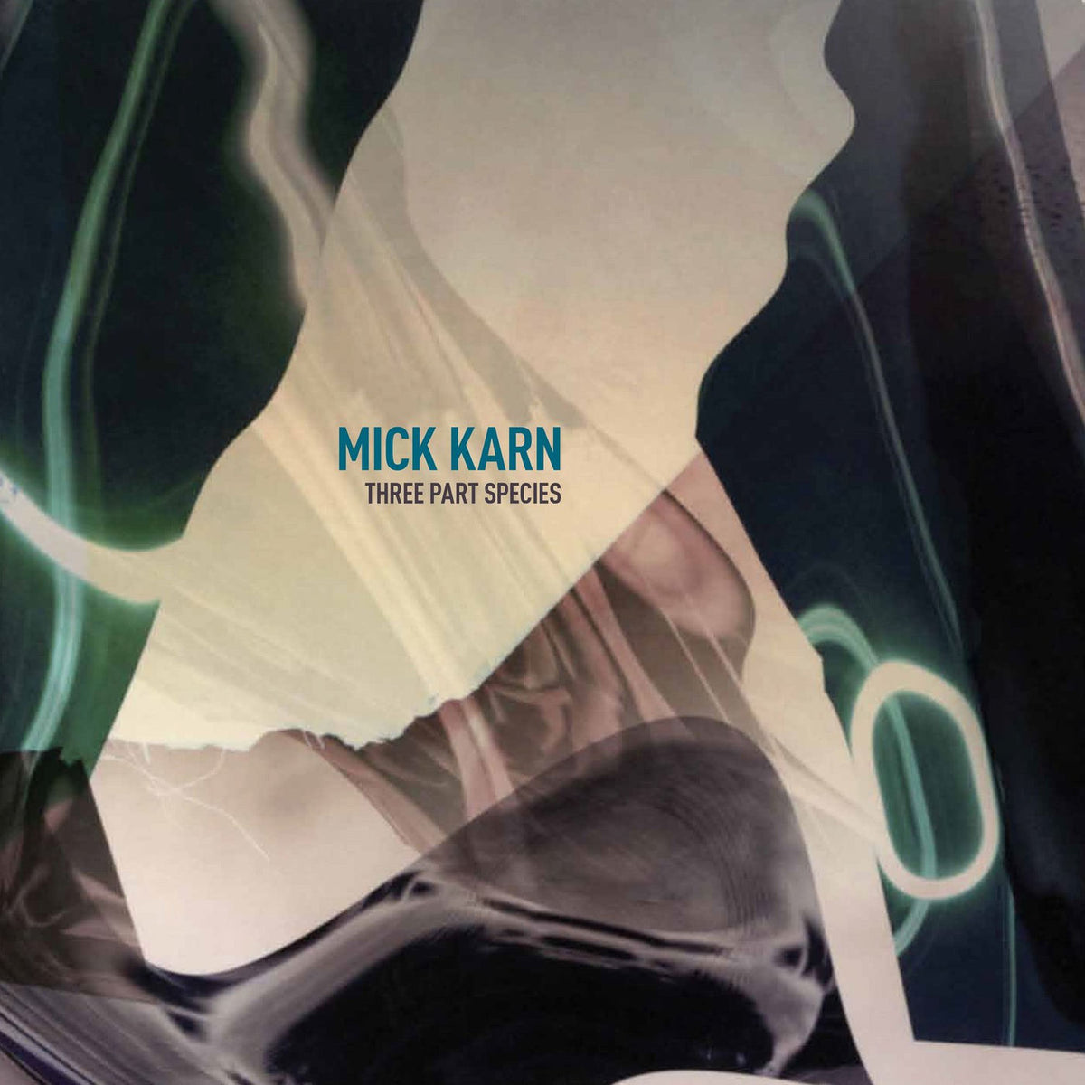 Mick Karn – Three Part Species vinyl record cover