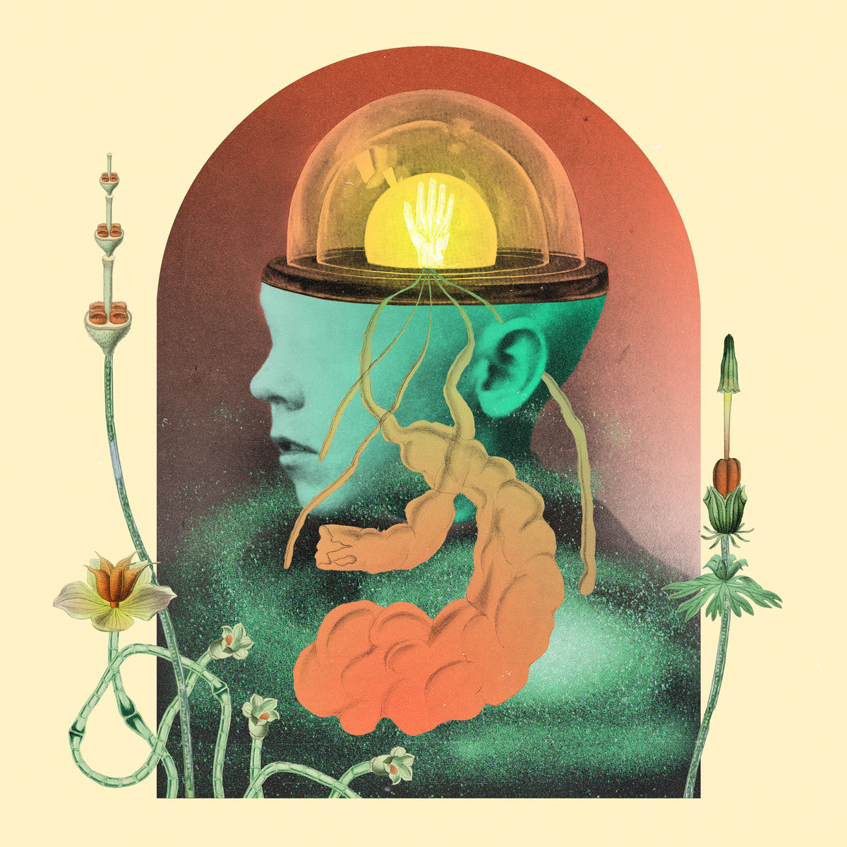 Salami Rose Joe Louis – Akousmatikous — album cover