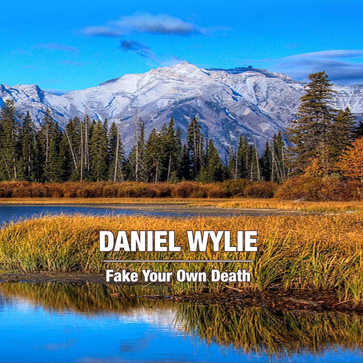 Daniel Wylie – Fake Your Own Death vinyl record cover