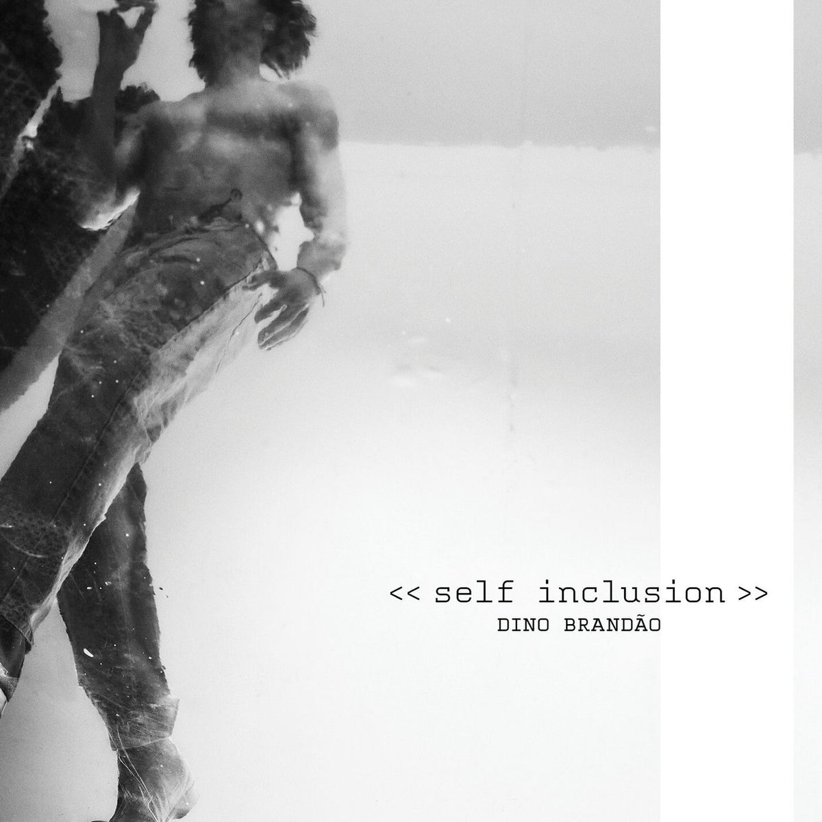 Dino Brandão – Self-Inclusion vinyl cover