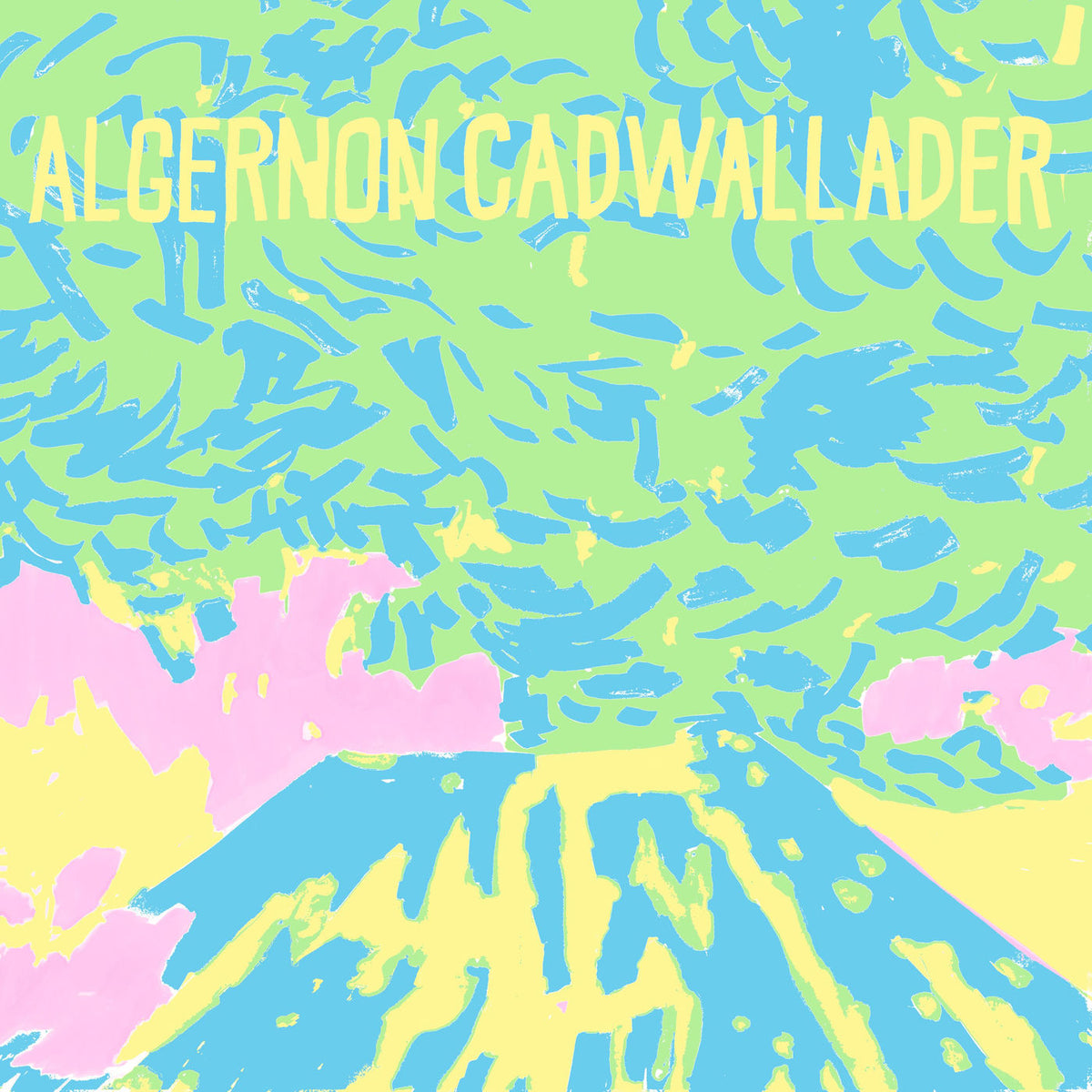 Algernon Cadwallader – Trying Not to Have a Thought vinyl cover