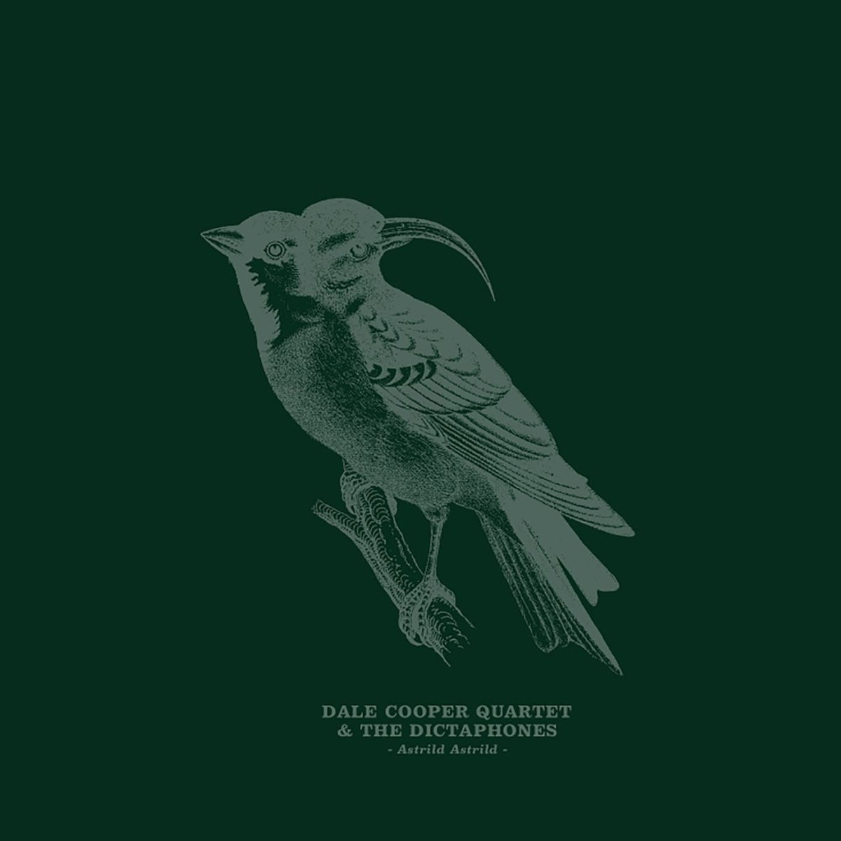 Dale Cooper Quartet – Astrild Astrild vinyl cover