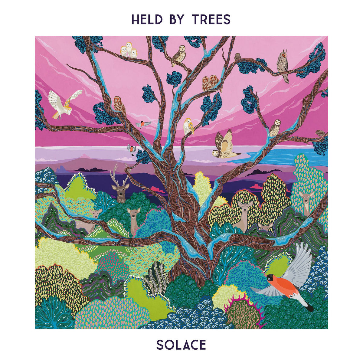 Held By Trees – Solace (Expanded Version) (RSD 2024) (Deluxe) vinyl record cover