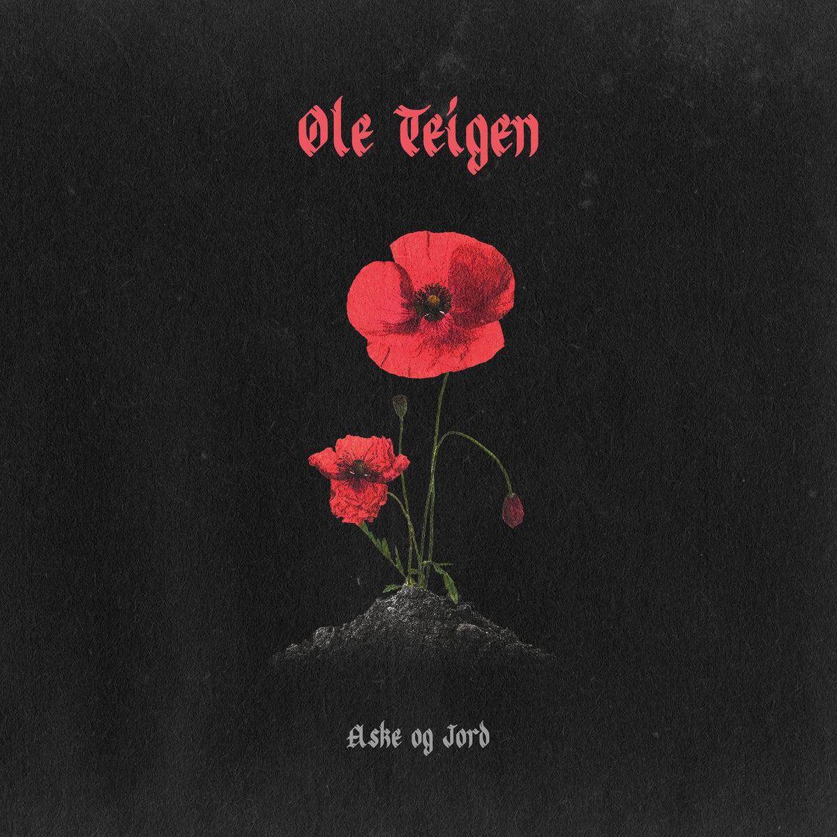 Ole Teigen – Aske Og Jord vinyl record cover